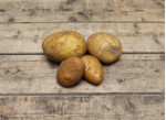 Pommes de terre nouvelles Sirtema