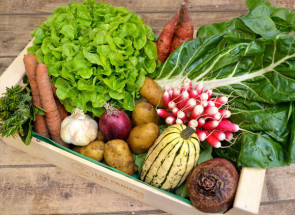 Panier Légumes bio de saison