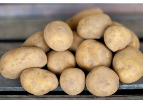Pommes de terre Maïwenn...