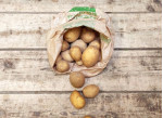 Pommes de terre Nouvelles Sirtema Grenailles
