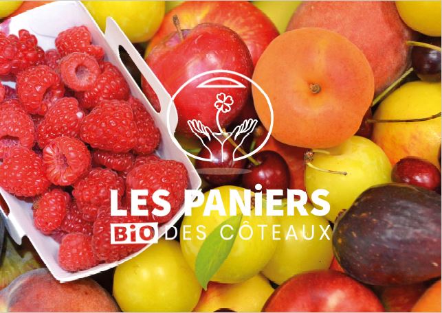 Mélange de fruits secs bio AP5-Pack 7109-defaultCombination - Les paniers  bio des côteaux, Paniers Bio livrés à Nantes